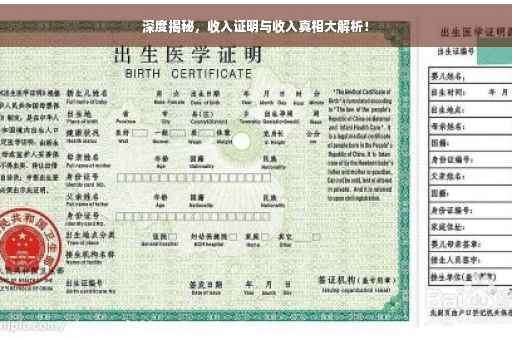 深度揭秘，收入证明与收入真相大解析！