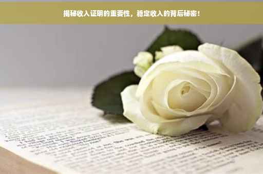 揭秘收入证明的重要性，稳定收入的背后秘密！