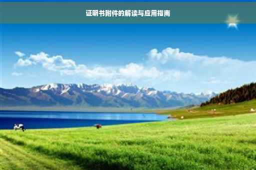证明书附件的解读与应用指南