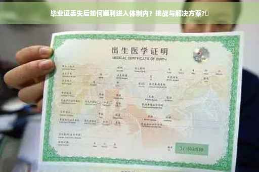 毕业证丢失后如何顺利进入体制内？挑战与解决方案?✨