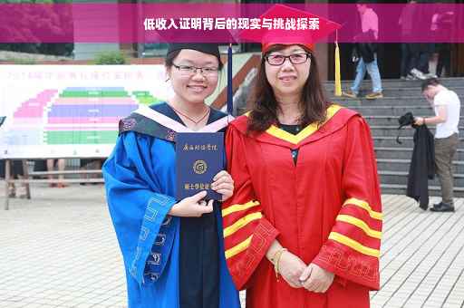 低收入证明背后的现实与挑战探索