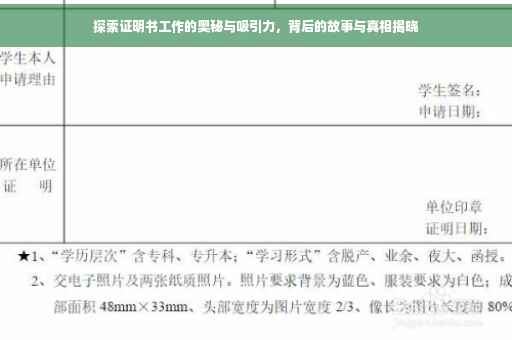 探索证明书工作的奥秘与吸引力，背后的故事与真相揭晓