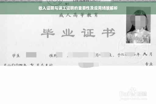 收入证明与误工证明的重要性及应用场景解析