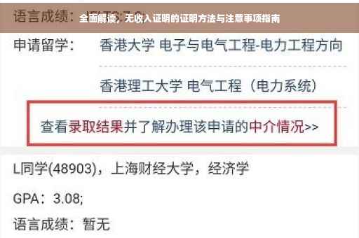 全面解读，无收入证明的证明方法与注意事项指南