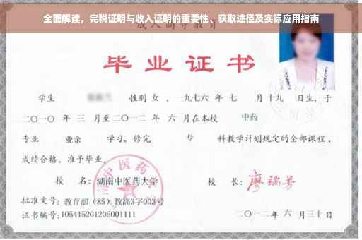 全面解读，完税证明与收入证明的重要性、获取途径及实际应用指南