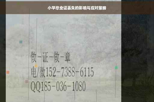小学毕业证丢失的影响与应对策略