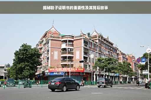 揭秘鞋子证明书的重要性及其背后故事