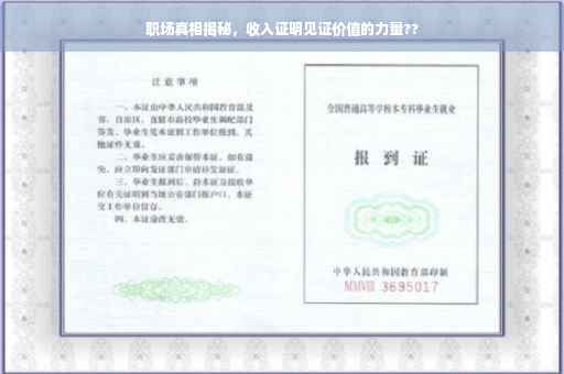 职场真相揭秘，收入证明见证价值的力量??