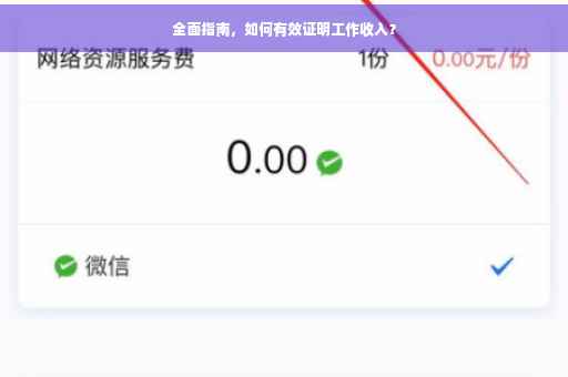 全面指南，如何有效证明工作收入？
