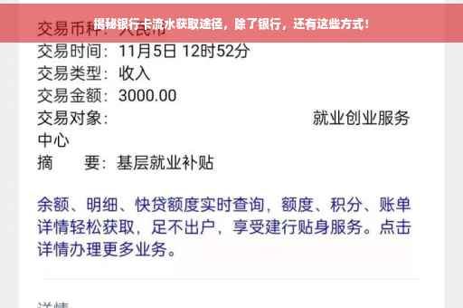 揭秘银行卡流水获取途径，除了银行，还有这些方式！