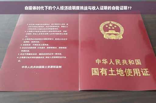 自媒体时代下的个人经济透明度挑战与收入证明的自我证明??