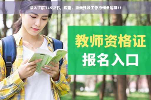 深入了解TLS证书，应用、重要性及工作原理全解析??