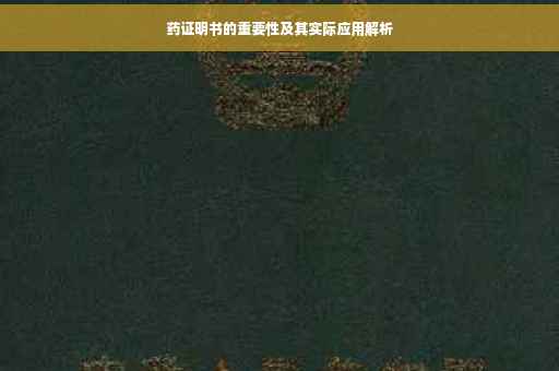 药证明书的重要性及其实际应用解析