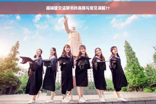 揭秘援交证明书的真相与常见误解??
