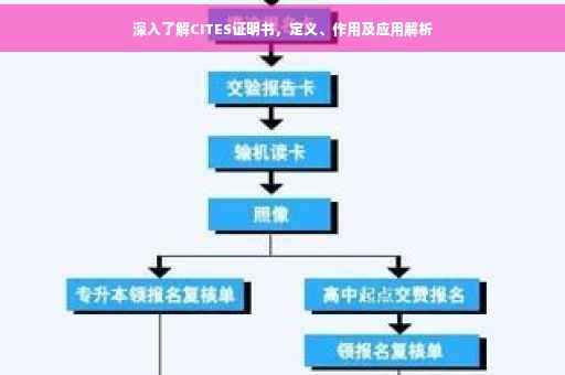 深入了解CITES证明书，定义、作用及应用解析