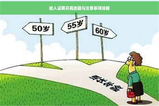 收入证明开具流程与注意事项详解