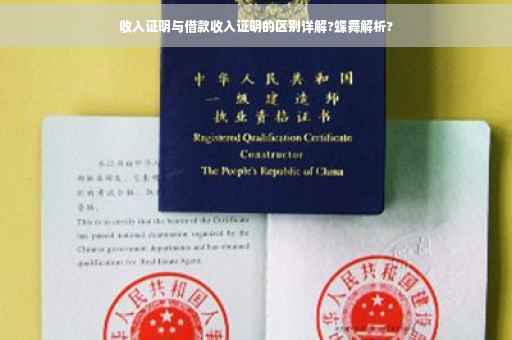 收入证明与借款收入证明的区别详解?蝶舞解析?
