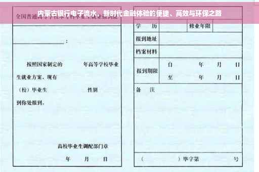 内蒙古银行电子流水，新时代金融体验的便捷、高效与环保之路
