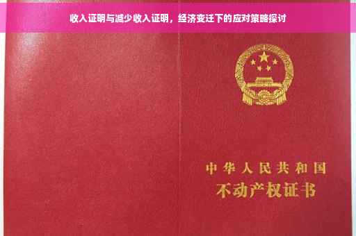 收入证明与减少收入证明，经济变迁下的应对策略探讨