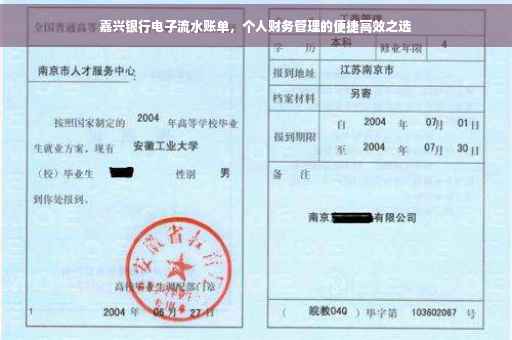 嘉兴银行电子流水账单，个人财务管理的便捷高效之选