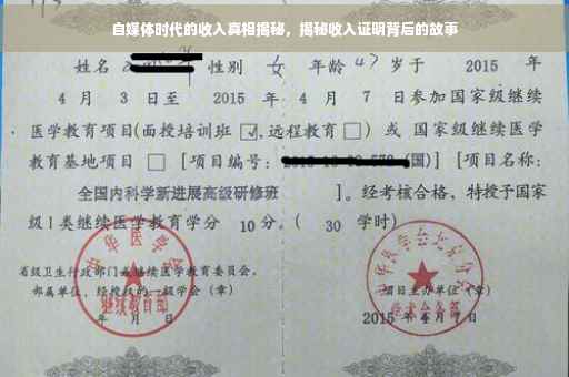 自媒体时代的收入真相揭秘，揭秘收入证明背后的故事
