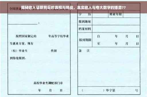 揭秘收入证明背后的真相与挑战，真实收入与夸大数字的博弈??
