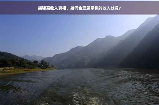 揭秘高收入真相，如何合理展示你的收入状况？