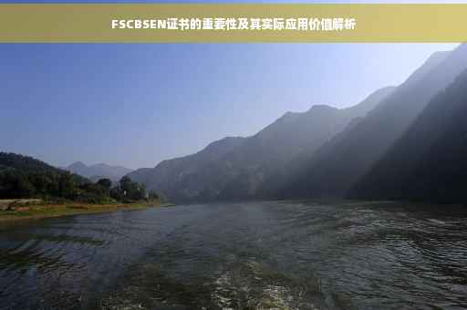 FSCBSEN证书的重要性及其实际应用价值解析
