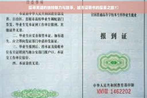 探寻芜湖的独特魅力与故事，城市证明书的探索之旅?✨