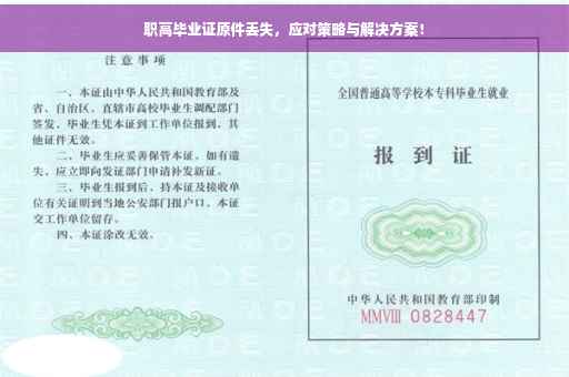 职高毕业证原件丢失，应对策略与解决方案！