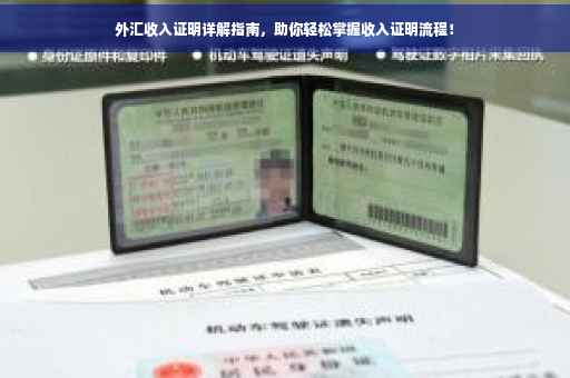 外汇收入证明详解指南，助你轻松掌握收入证明流程！