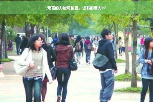 无言的力量与价值，证书的魅力??