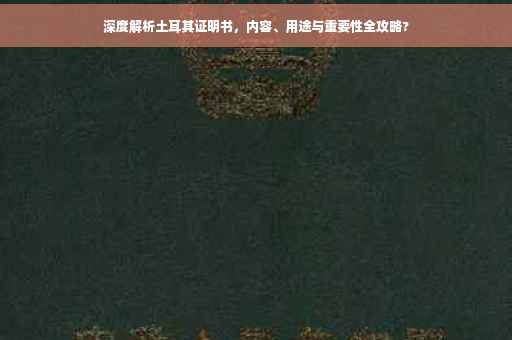 深度解析土耳其证明书，内容、用途与重要性全攻略?