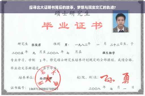 探寻北大证明书背后的故事，梦想与现实交汇的轨迹?