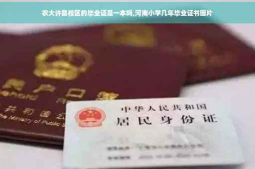 农大许昌校区的毕业证是一本吗,河南小学几年毕业证书图片