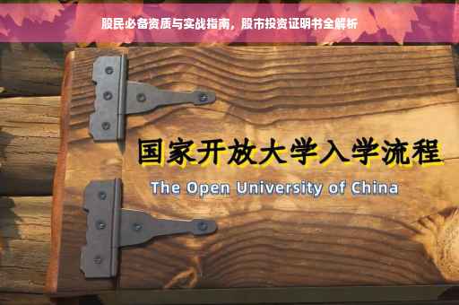 股民必备资质与实战指南，股市投资证明书全解析