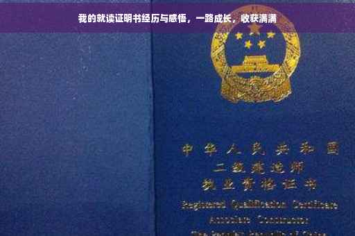 我的就读证明书经历与感悟，一路成长，收获满满