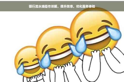 银行流水线操作详解，提升效率，优化服务体验