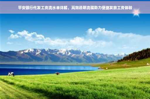 平安银行代发工资流水单详解，高效透明流程助力便捷发放工资体验