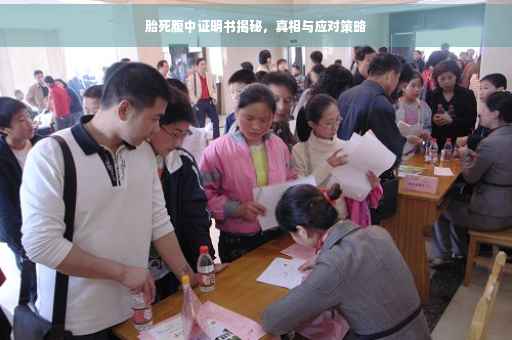 胎死腹中证明书揭秘，真相与应对策略
