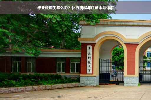 毕业证遗失怎么办？补办流程与注意事项详解
