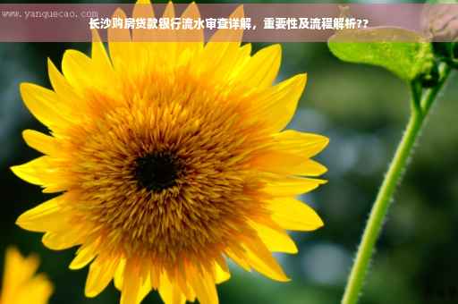 长沙购房贷款银行流水审查详解，重要性及流程解析??