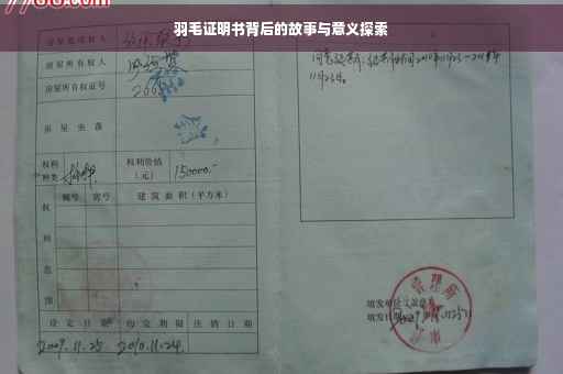 羽毛证明书背后的故事与意义探索