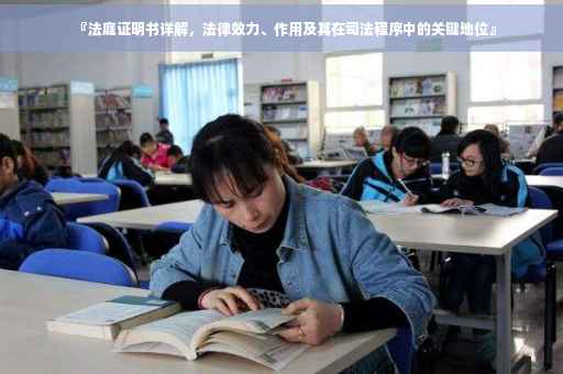 『法庭证明书详解，法律效力、作用及其在司法程序中的关键地位』