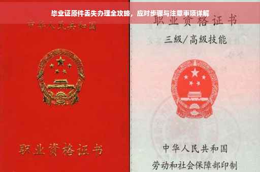 毕业证原件丢失办理全攻略，应对步骤与注意事项详解
