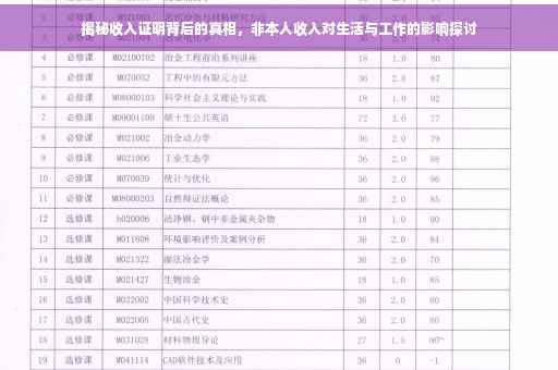 揭秘收入证明背后的真相，非本人收入对生活与工作的影响探讨
