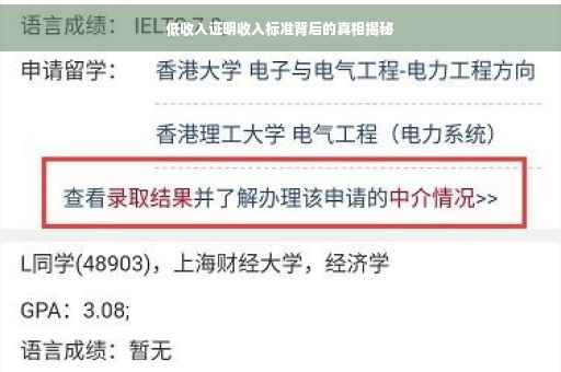 低收入证明收入标准背后的真相揭秘