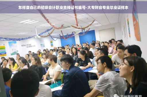 怎样查自己的初级会计职业资格证书编号-大专财会专业毕业证样本