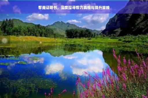 智商证明书，深度探寻智力真相与提升策略