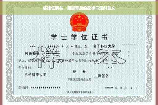 奖牌证明书，荣耀背后的故事与深刻意义